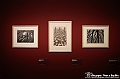 VBS_4972 - Mostra Escher